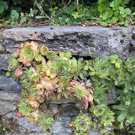 Bergerie Labourdette Nyaraló Labassère